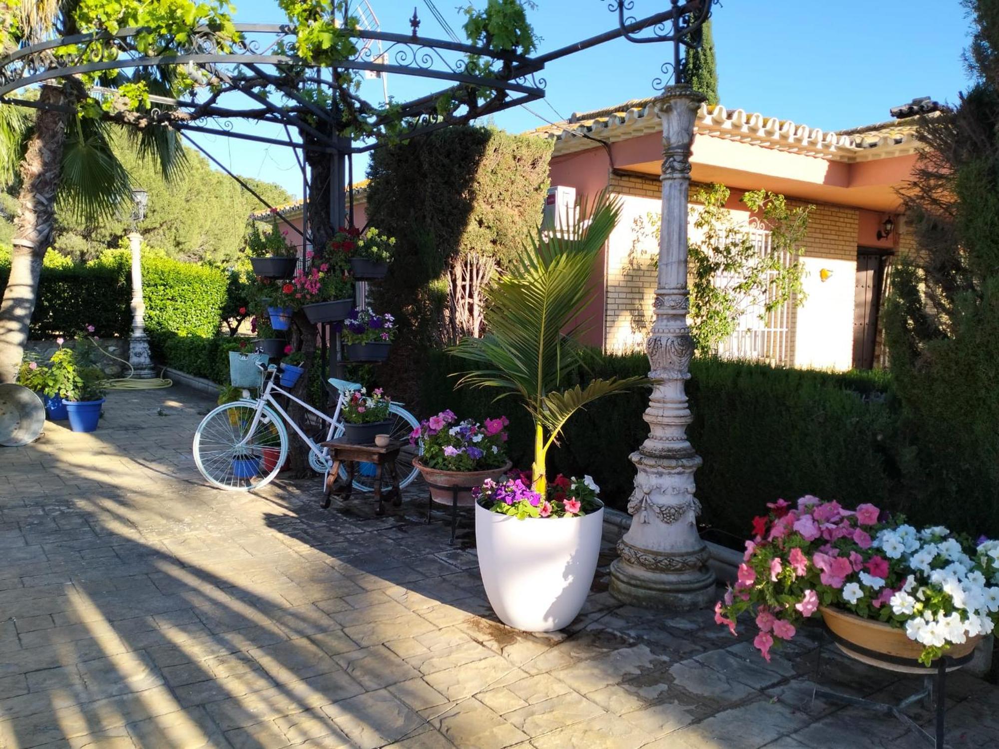 Sitio De Casa Nueva Ferienhaus *